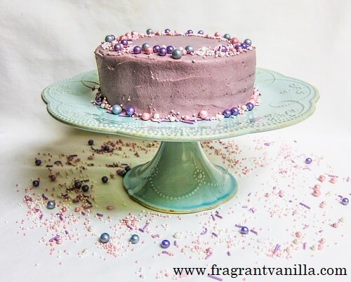 Vegan Chocolate Cake with Raspberry Frosting 