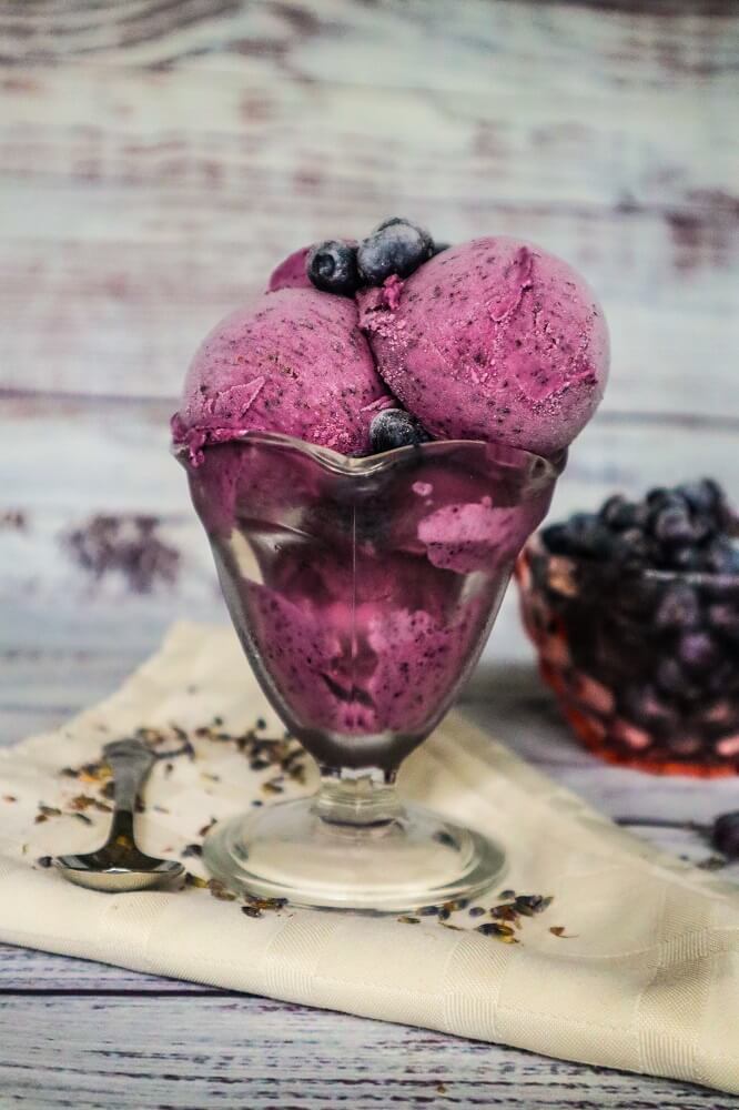 Vegan Blueberry Lavender Ice Cream