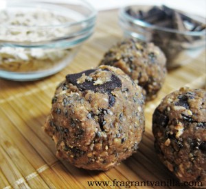 Oatmeal Cookie Energy Bites