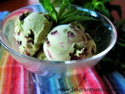 Matcha Peppermint Chip Ice Cream 1