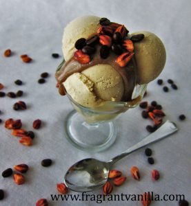 Coffee Caramel Peanut Butter Ice Cream 4