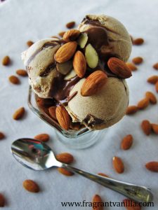 Toasted Almond Fudge Ripple Ice Cream 1