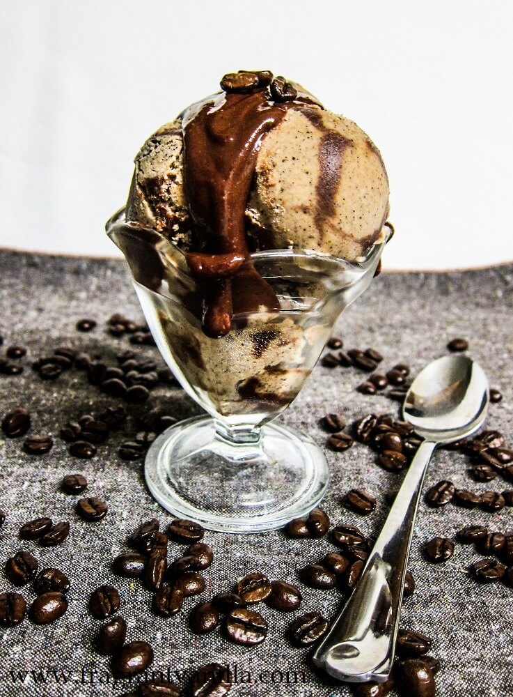 Vegan Hazelnut Coffee Ice Cream with Fudge Swirl