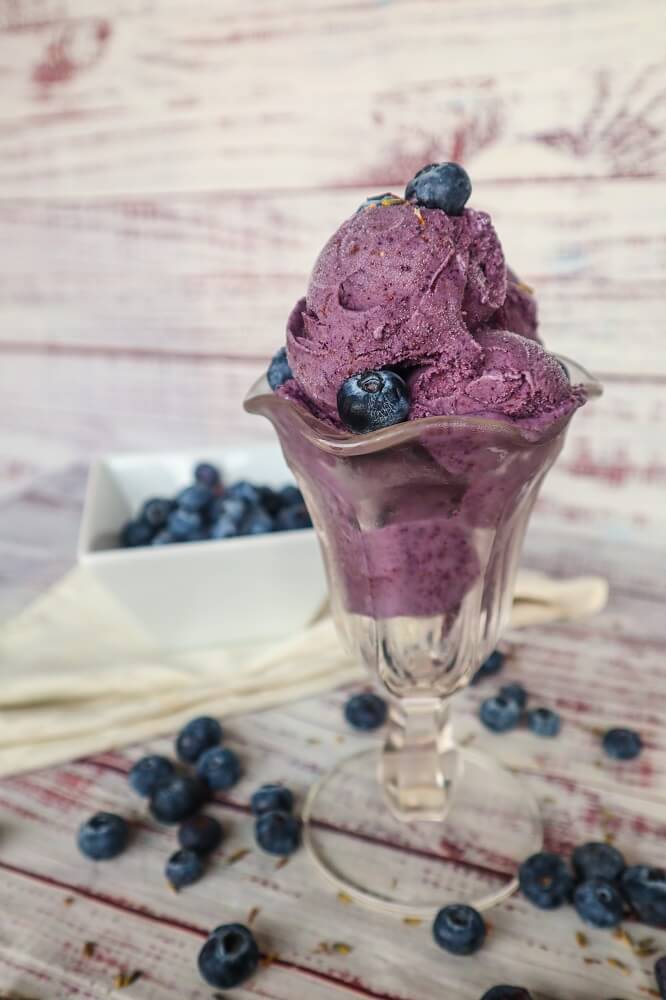 Vegan Blueberry Lavender Ice Cream 