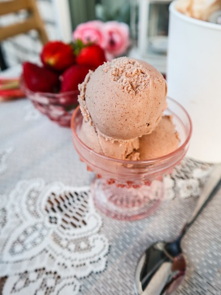 Vegan Roasted Strawberry Rhubarb Ice Cream