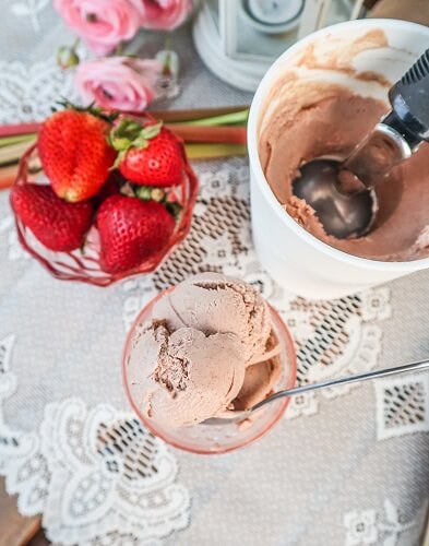 Vegan Roasted Strawberry Rhubarb Ice Cream